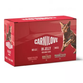 CAV CARNILOVE Katzenfutter im Beutel Gelee Multipack 12x85g Nassfutter, getreidefrei, für ausgewachsene Katzen, gemischte Sorten