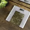 Cecotec Personenwaage Surface Precision Healthy Maximalgewicht 180 Grau/Transparent
