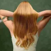 Cecotec Haartrockner IoniCare Dry&Keratin Olive 1200 W Ionenfunktion 1 Temperaturstufe Grün