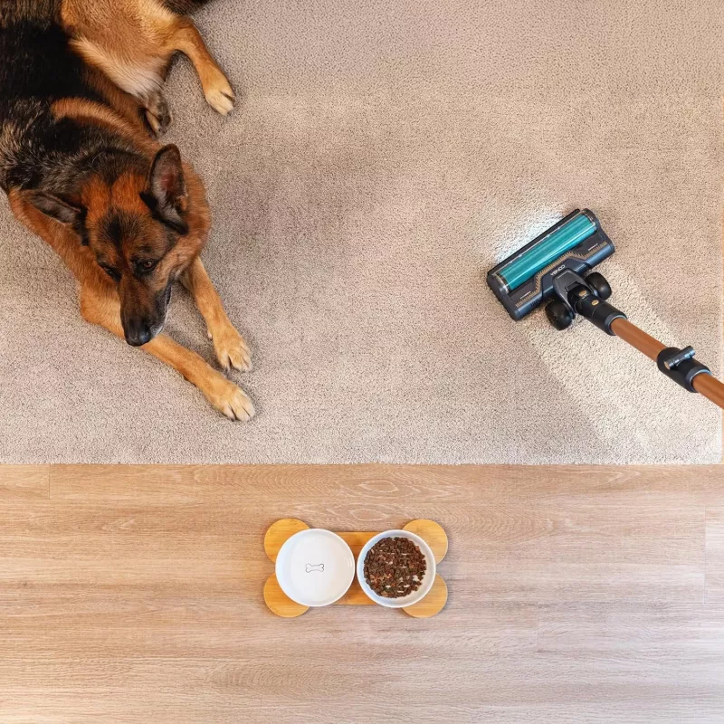 Cecotec Conga Rockstar RX70 AquaPet Flex Akku-Staubsauger, 780 W