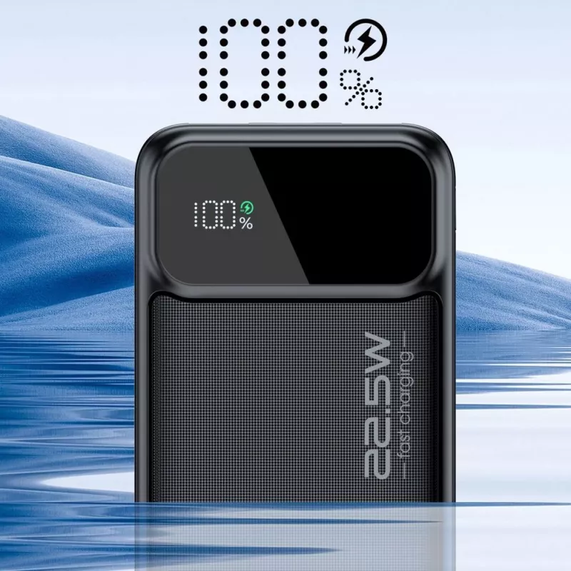 CHOETECH Power Bank 30000 mAh Schwarz