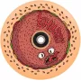 Chubby Wheel 110mm Red Donut - Freestyle-Scooter-Rad mit ABEC-9 Lagern