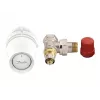 Danfoss RA-N Thermostatkopf und Ventil DN15