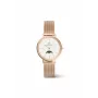 DANIEL WELLINGTON Petite Lumine 32mm Silberuhr mit Perlmuttzifferblatt und silbernem Mesh-Armband DW00100773
