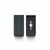 DANIEL WELLINGTON Petite Lumine Damenuhr 22mm Roségold Edelstahl Mesh DW00100717