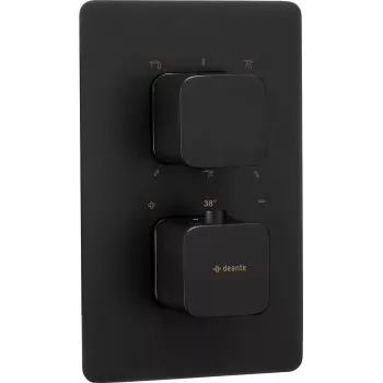 DEANTE Außenelement für Thermostat-BOX - Gebürstetes Gold - OMNIRES Y