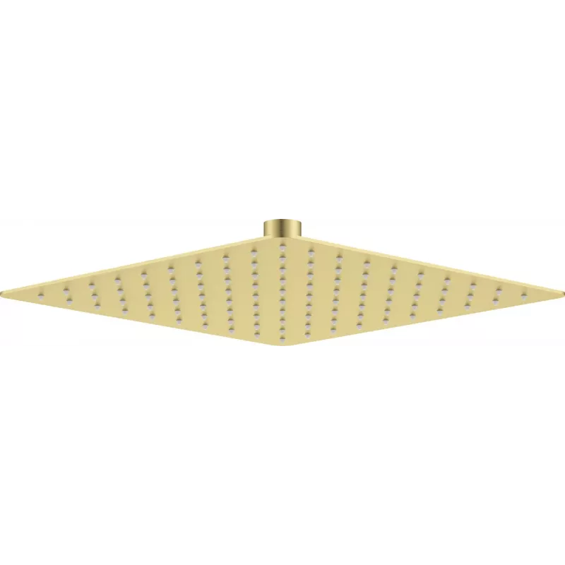 DEANTE Duschkopf aus Edelstahl - 250x250 mm