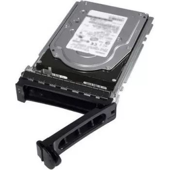 Dell 1,2TB 10K SAS 12Gbps 2,5-Zoll Enterprise-Festplatte (512n, Hot-Plug) - DCGGC
