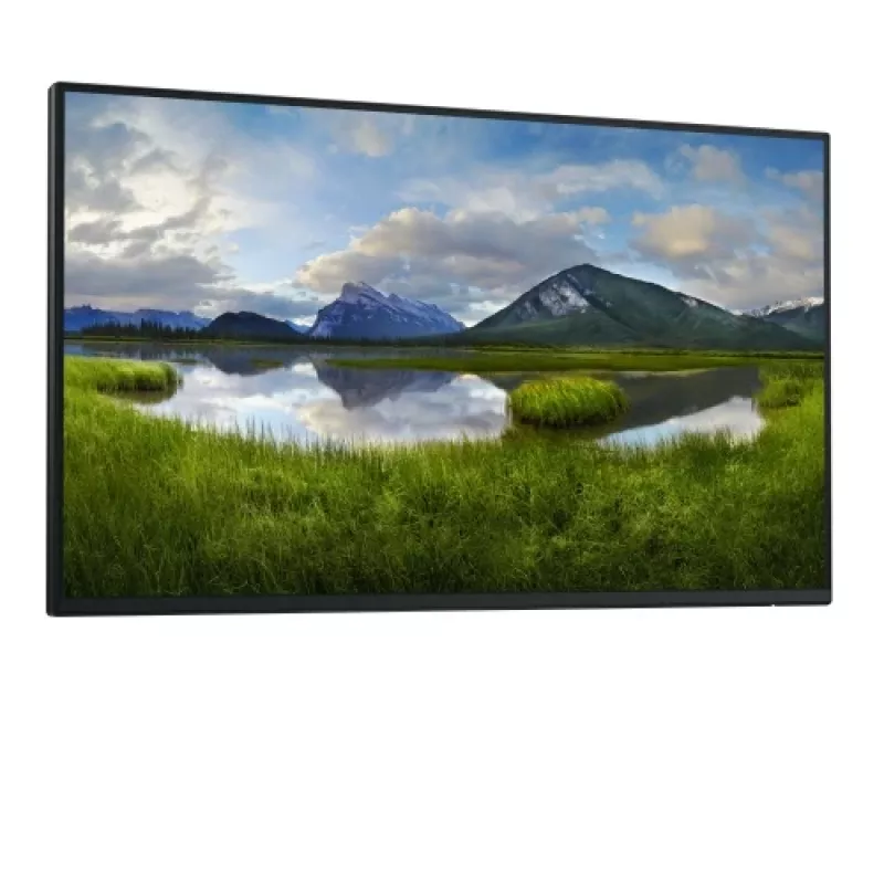 Dell Pro 24 Plus P2425HE Monitor 23,8 Zoll IPS FHD 1920x1080 8ms 250cd/m2 100Hz (Ohne Standfuß)