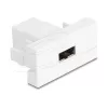 Delock Easy 45 Modul EASY-USB 2.0 Typ-A Buchse zu EASY-USB Typ-A Buchse Weiß 90866