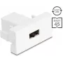 Delock Easy 45 Modul EASY-USB 2.0 Typ-A Buchse zu EASY-USB Typ-A Buchse Weiß 90866