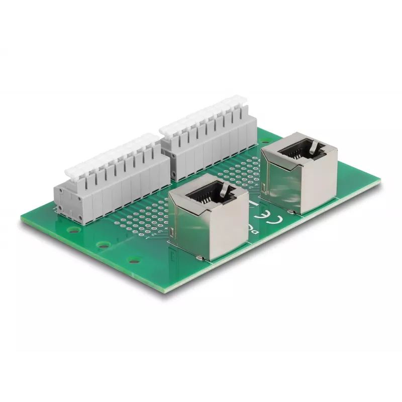 Delock RJ45 2 x Buchse auf 2 x Klemmenblock mit Druckknopf für DIN-Schiene gewinkelt (66995)