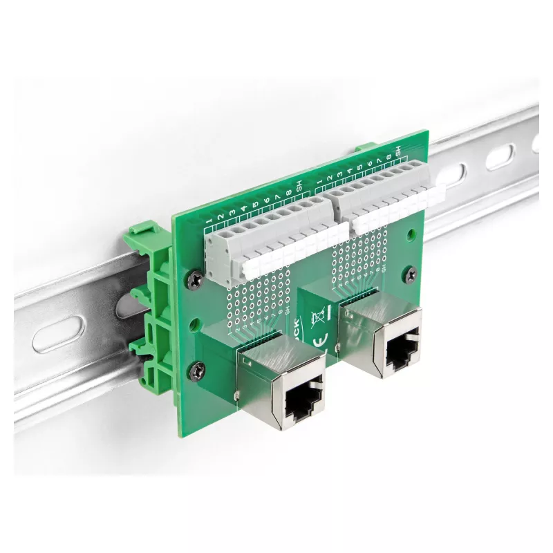 Delock RJ45 2 x Buchse auf 2 x Klemmenblock mit Druckknopf für DIN-Schiene gewinkelt (66995)