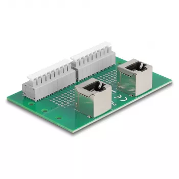 Delock RJ45 2 x Buchse auf 2 x Klemmenblock mit Druckknopf für DIN-Schiene gewinkelt (66995)