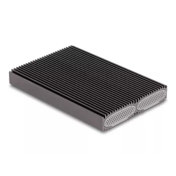 Delock USB Type-C Dual Combo Gehäuse für 2 x M.2 NVMe PCIe oder SATA SSD - Werkzeuglos