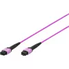 DIGITUS OM4 MPO auf MPO 12-Faser Patchkabel, 2m, Methode A, Violett DK-2566-02/4