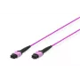 DIGITUS OM4 MPO auf MPO 12-Faser Patchkabel, 2m, Methode A, Violett DK-2566-02/4