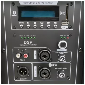 DNA PROFESSIONAL DNA SPX15 DSP Aktivlautsprecher 15 inch