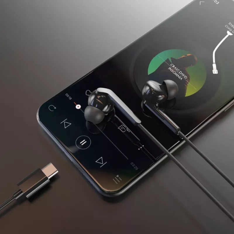 DUDAO Hi-Fi X3C+ Kabelgebundene In-Ear-Kopfhörer mit Mikrofon, 1,2 m, Schwarz