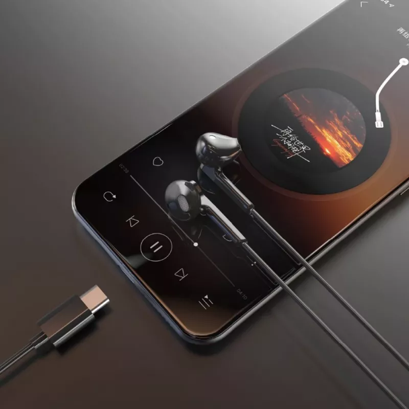 DUDAO X3C In-Ear Kabelgebundene USB-C Kopfhörer 1,2 m - Schwarz