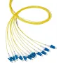 EFB Elektronik Fiber Pigtail LC 62.5/125 OM1 Blau 2m