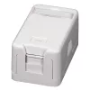 EFB ET-25166 Aufputz-Keystone-Dose, 1 Port, selbstschließende Staubschutzklappe, Reinweiß