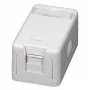 EFB ET-25166 Aufputz-Keystone-Dose, 1 Port, selbstschließende Staubschutzklappe, Reinweiß