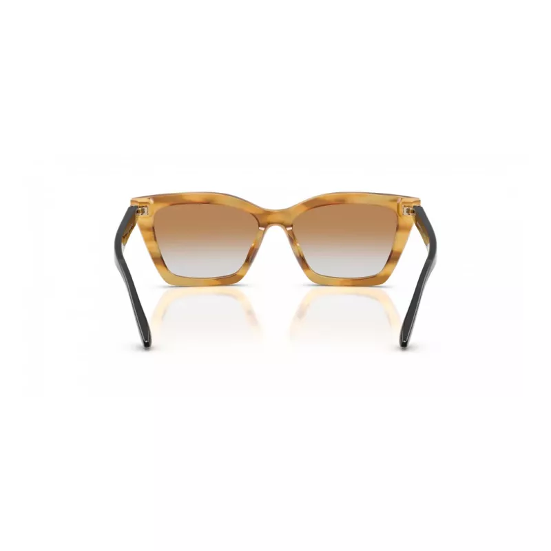 EMPORIO ARMANI Damen Sonnenbrille EA4250U62692Q Cat Eye Transparent Grau 54mm