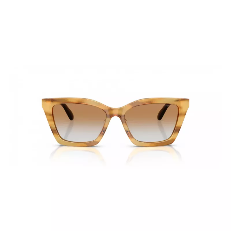EMPORIO ARMANI Damen Sonnenbrille EA4250U62692Q Cat Eye Transparent Grau 54mm