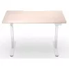 ENDORFY Atlas S Elektrisch höhenverstellbarer Schreibtisch Lichtes Holz 120x60 cm