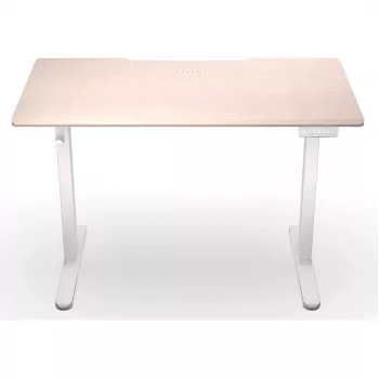ENDORFY Atlas S Elektrisch höhenverstellbarer Schreibtisch Lichtes Holz 120x60 cm