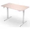 ENDORFY Atlas S Elektrisch höhenverstellbarer Schreibtisch Lichtes Holz 120x60 cm