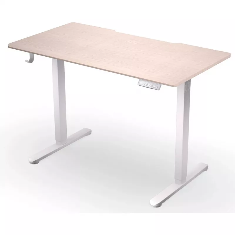 ENDORFY Atlas S Elektrisch höhenverstellbarer Schreibtisch Lichtes Holz 120x60 cm