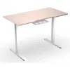ENDORFY Atlas S Elektrisch höhenverstellbarer Schreibtisch Lichtes Holz 120x60 cm