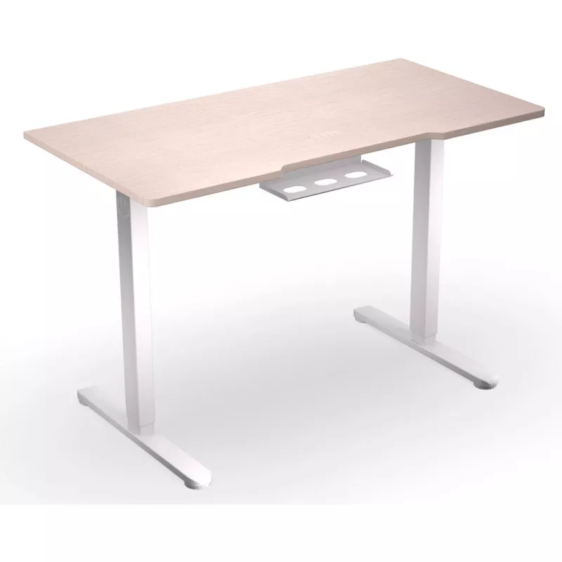 ENDORFY Atlas S Elektrisch höhenverstellbarer Schreibtisch Lichtes Holz 120x60 cm