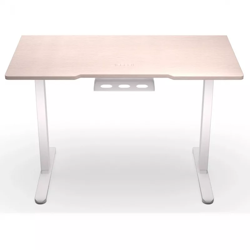 ENDORFY Atlas S Elektrisch höhenverstellbarer Schreibtisch Lichtes Holz 120x60 cm