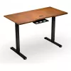 ENDORFY Atlas S Electric Höhenverstellbarer Schreibtisch Walnuss/Schwarz 120x60 cm