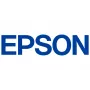 Epson Original Reinigungsflüssigkeit für SureColor SC-F1000 (250 ml)