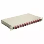 Equip 12-Port SC Duplex OM4 Glasfaser-Spleißbox, 1U, komplett ausgestattet, Grau