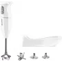 ESGE-Zauberstab Akku-Stabmixer Weiß (95100)