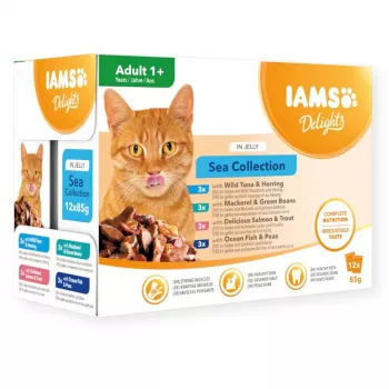 Eukanuba IAMS Delights Adult Sea in Jelly Nassfutter für Katzen 12x85g