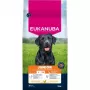 Eukanuba Premium Nutrition Junior Large & Giant Breed Trockenfutter für Hunde, Huhn 15kg