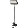 EUROLITE LED KKL-40 Flutlicht 3CT Schwarz 40W COB RGBW DMX 41600602