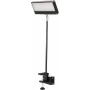 EUROLITE LED KKL-40 Flutlicht 3CT Schwarz 40W COB RGBW DMX 41600602