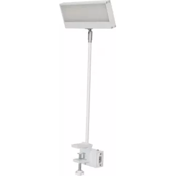 EUROLITE LED KKL-40 Flutlicht 3CT Weiß 41600600