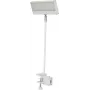 EUROLITE LED KKL-40 Flutlicht 3CT Weiß 41600600
