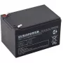 Europower EP12-12 12V 12Ah AGM Batterie