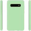Evelatus Samsung Galaxy S10+ Nano-Silikonhülle Soft Touch TPU Mint
