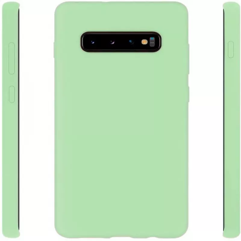 Evelatus Samsung Galaxy S10+ Nano-Silikonhülle Soft Touch TPU Mint