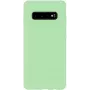 Evelatus Samsung Galaxy S10+ Nano-Silikonhülle Soft Touch TPU Mint